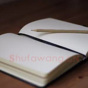 硬笔情结难解难舍兼谈艺术品与市场(郦一平)