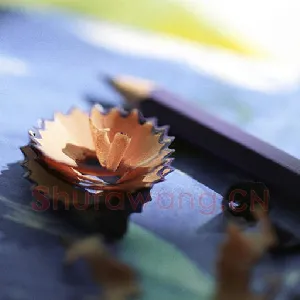 书法教学可以提高学生的创造能力(王健民) 硬笔书法文摘