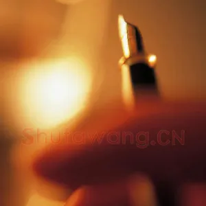 硬笔书法的学术定位(任平)硬笔书法文摘