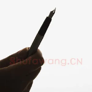 对学生书法兴趣的纵向引导