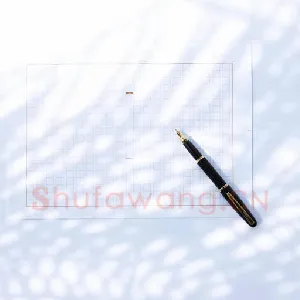 冷静之后的思索谈中钢大赛品评的科学化(郝世檀)硬笔书法文摘