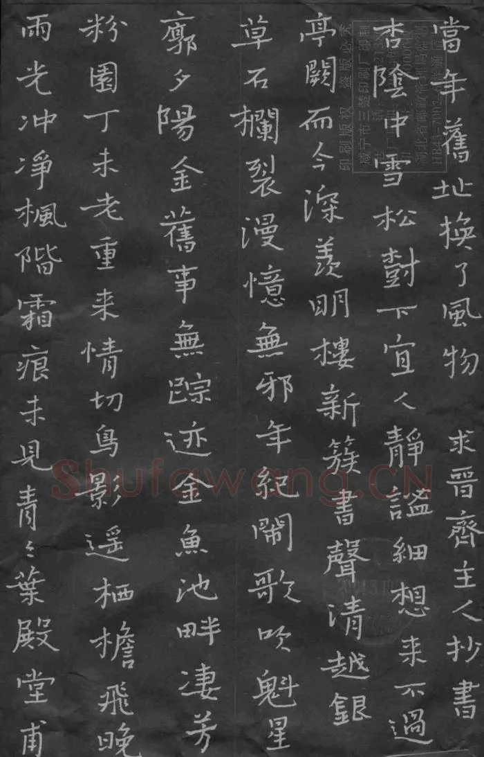 陈泽忠硬笔楷书雨光冲净,陈泽忠硬笔书法作品