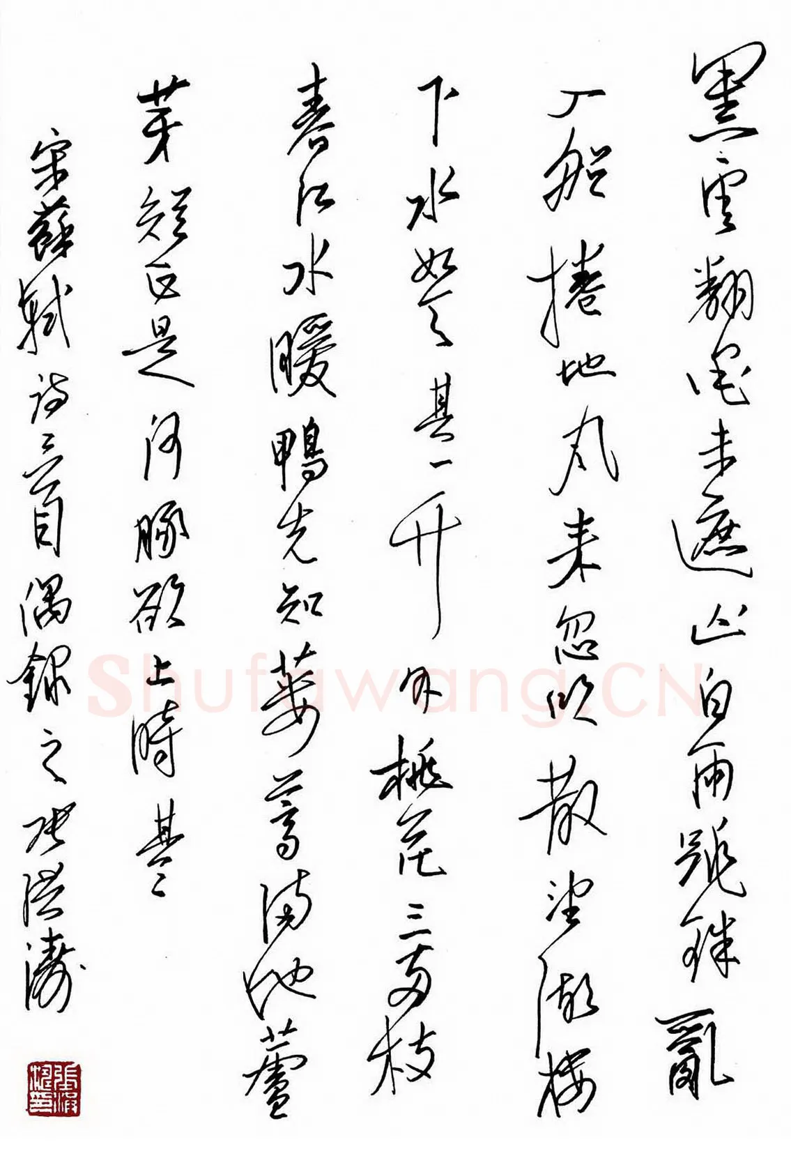 张洪涛硬笔行草苏轼诗二首,张洪涛硬笔书法作品