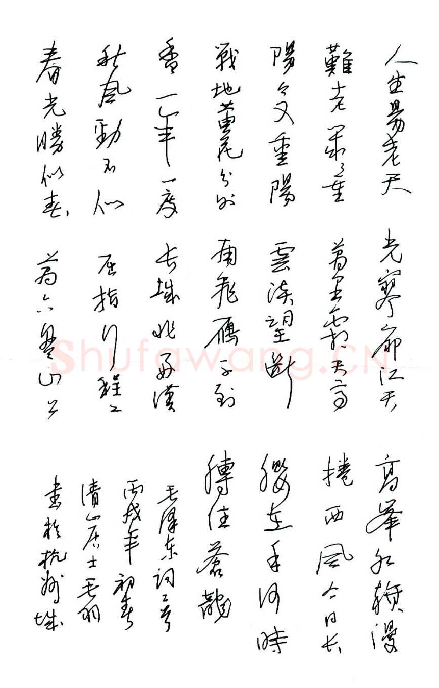 陈碧秋硬笔行草毛泽东词一首,硬笔书法作品