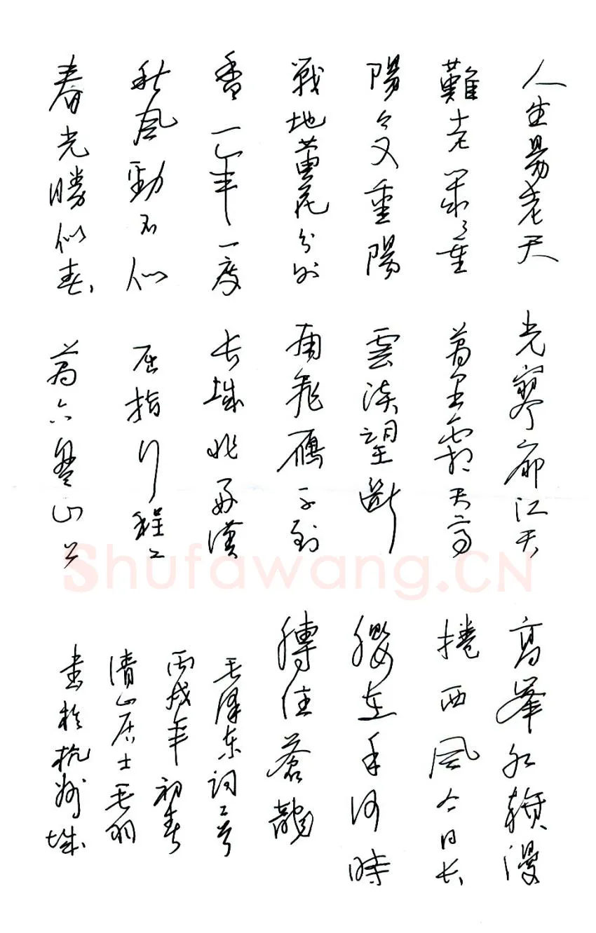 陈碧秋硬笔行草毛泽东词一首,硬笔书法作品