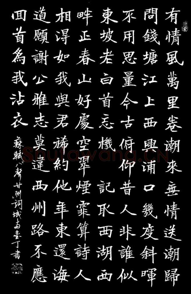 丁宁硬笔楷书苏轼八声甘州词,丁宁硬笔书法作品