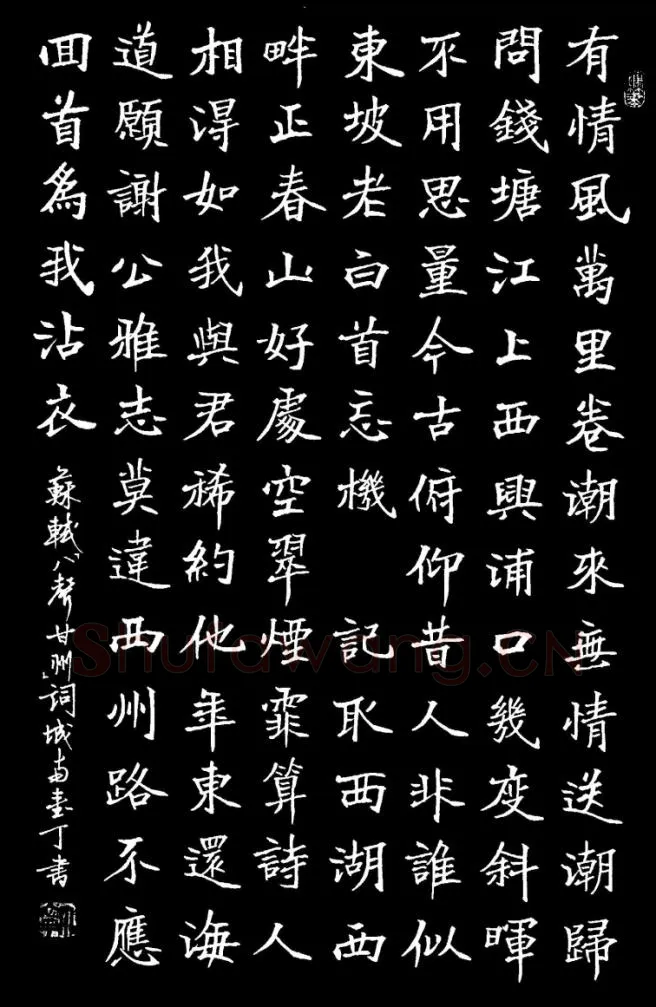丁宁硬笔楷书苏轼八声甘州词,丁宁硬笔书法作品