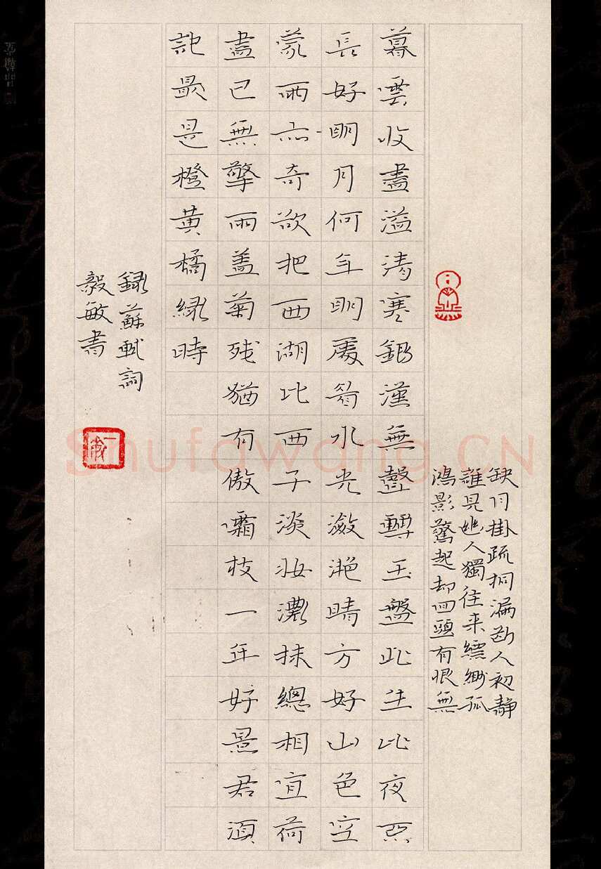 闻毅敏硬笔楷书苏轼词,闻毅敏硬笔书法作品