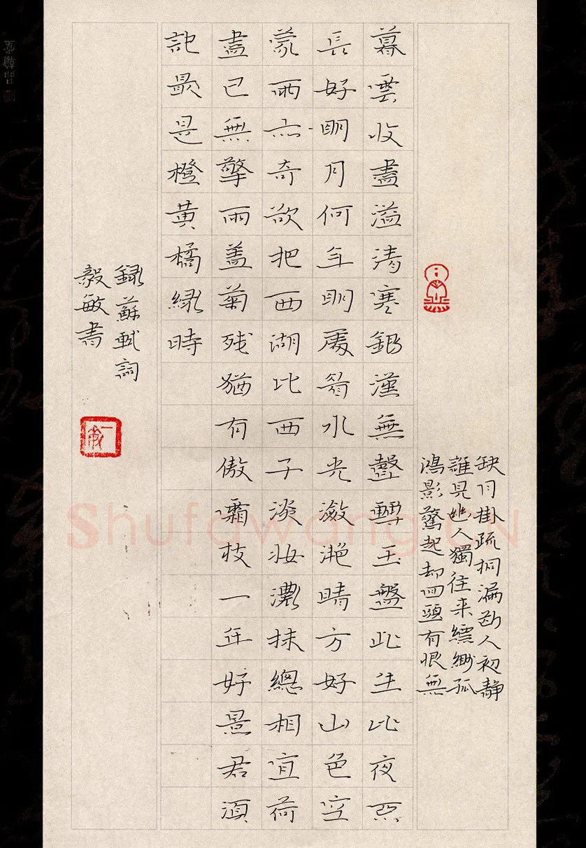 闻毅敏硬笔楷书苏轼词,闻毅敏硬笔书法作品