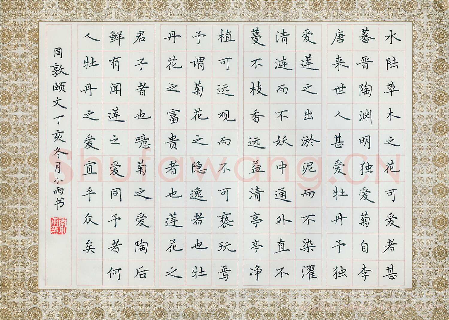 李小雨硬笔楷书周敦颐爱莲说,李小雨硬笔书法作品