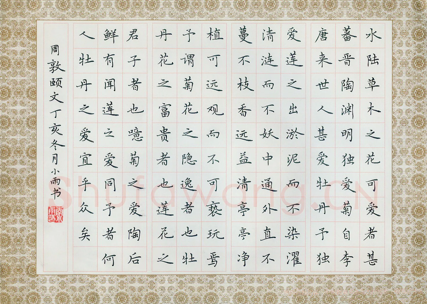 李小雨硬笔楷书周敦颐爱莲说,李小雨硬笔书法作品
