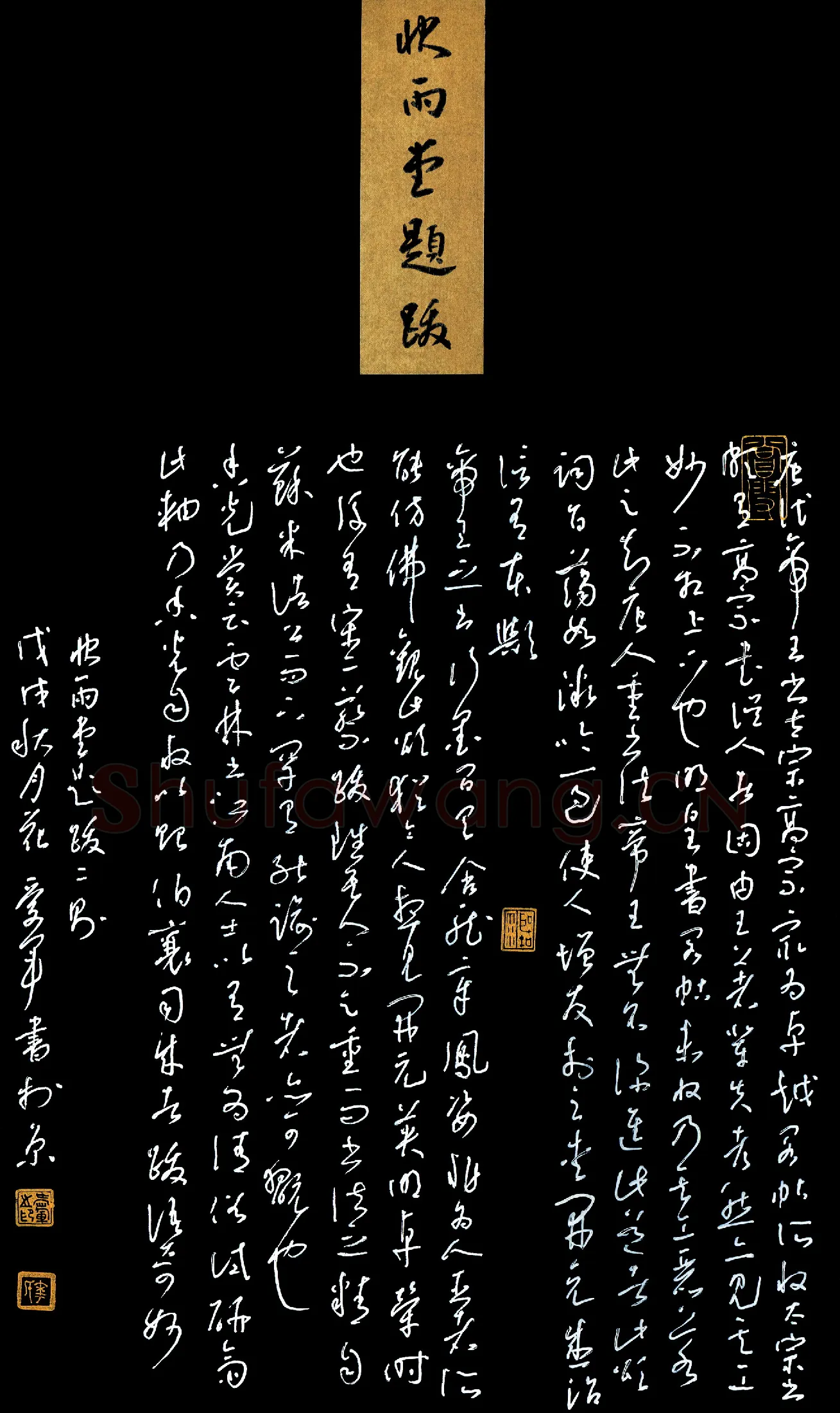 花爱军硬笔草书快雪堂题跋,花爱军硬笔书法作品