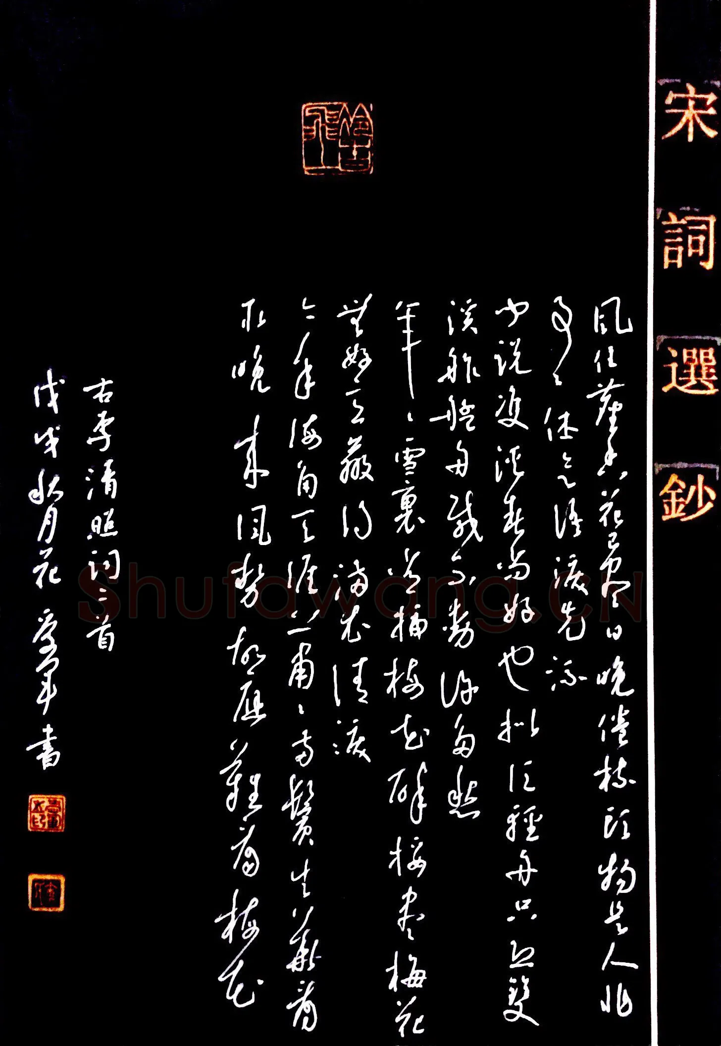 花爱军硬笔草书李清照词二首,花爱军硬笔书法作品