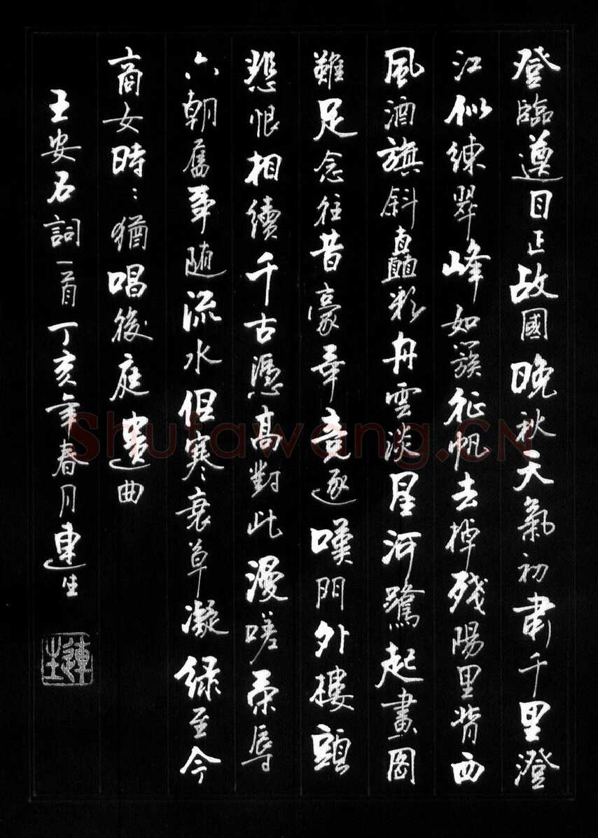 王连生硬笔行书王安石词一首,硬笔书法作品