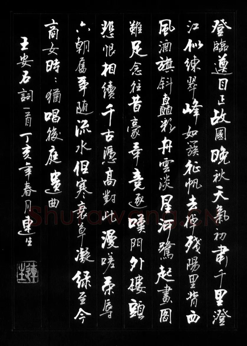 王连生硬笔行书王安石词一首,硬笔书法作品