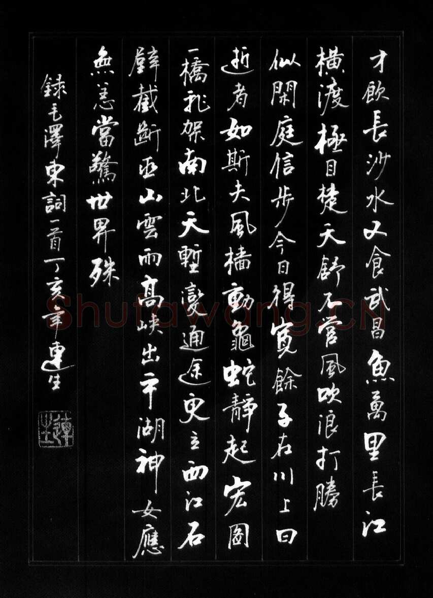 王连生硬笔行书毛泽东词一首,硬笔书法作品