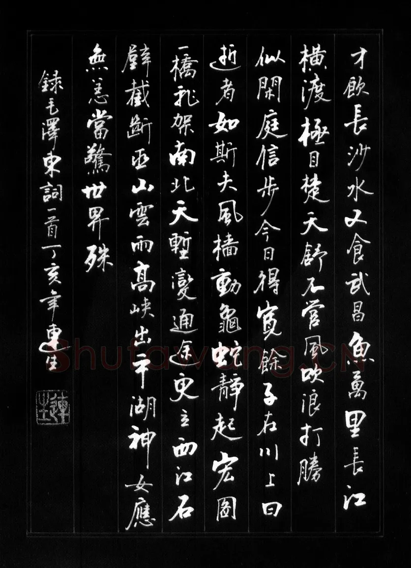 王连生硬笔行书毛泽东词一首,硬笔书法作品
