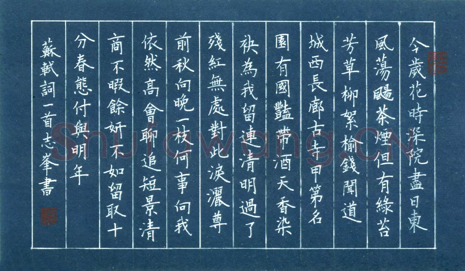 宋志峰硬笔楷书苏轼词一首,宋志峰硬笔书法作品
