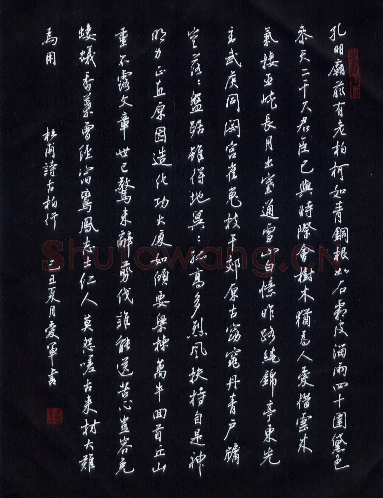 花爱军硬笔行书杜甫诗古柏行,花爱军硬笔书法作品