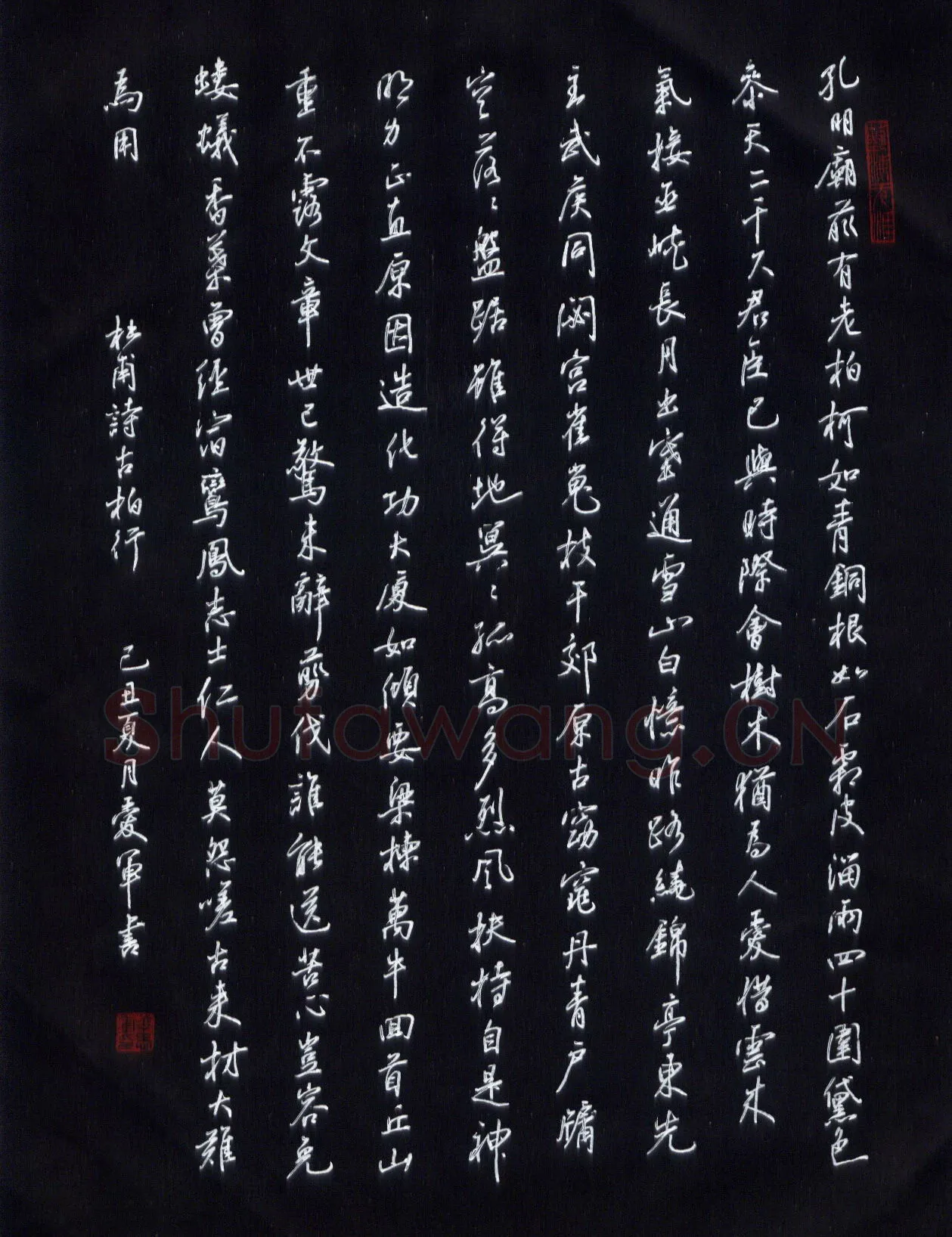 花爱军硬笔行书杜甫诗古柏行,花爱军硬笔书法作品