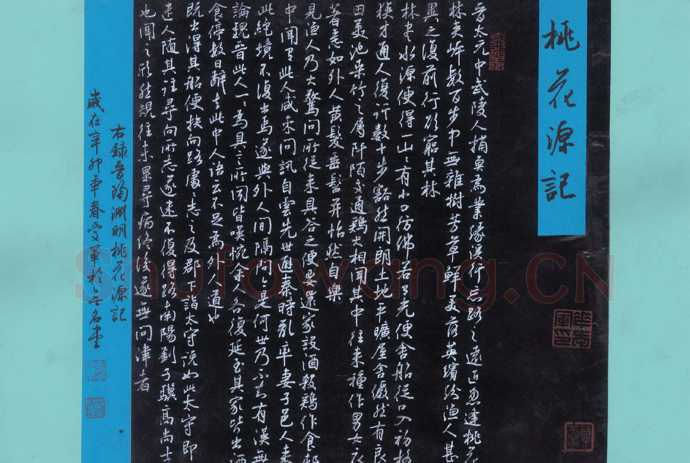 花爱军硬笔行书桃花源记,花爱军硬笔书法作品