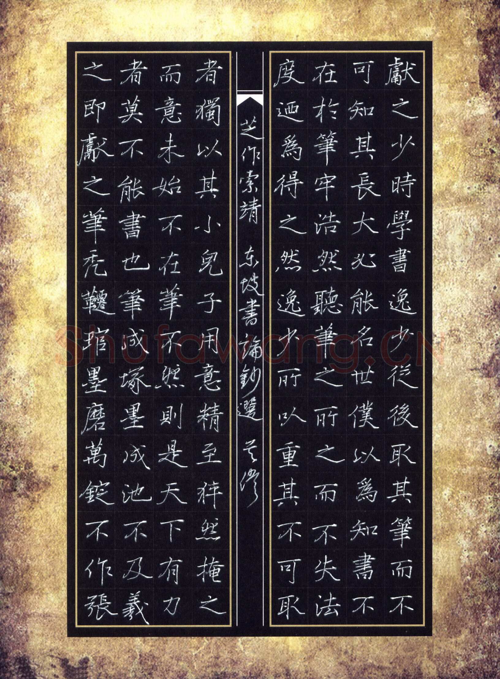 吴伟硬笔楷书东坡书论抄选,吴伟硬笔书法作品