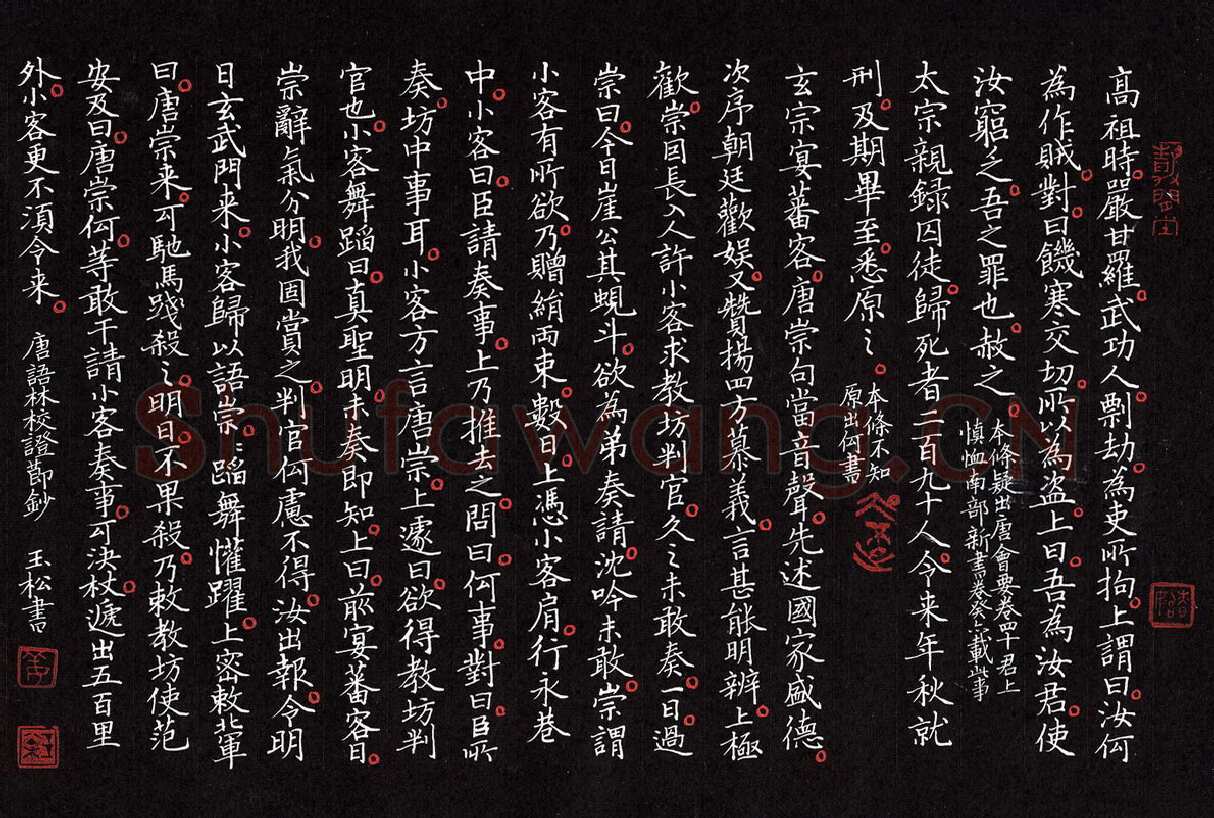 姜玉松硬笔楷书唐语林校证节抄,姜玉松硬笔书法作品