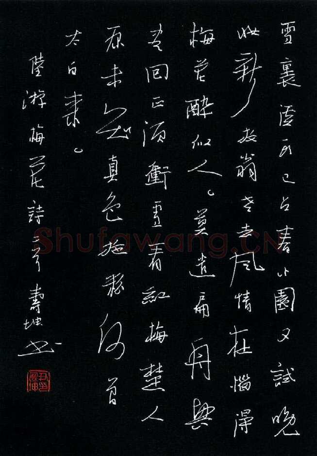 尹寿坤硬笔行书陆游梅花诗二首,尹寿坤硬笔书法作品