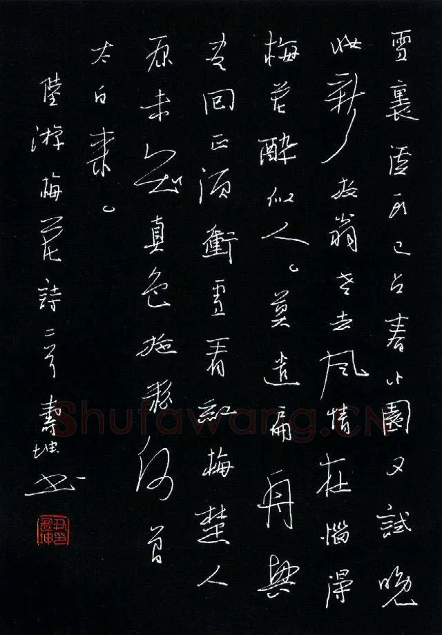 尹寿坤硬笔行书陆游梅花诗二首,尹寿坤硬笔书法作品