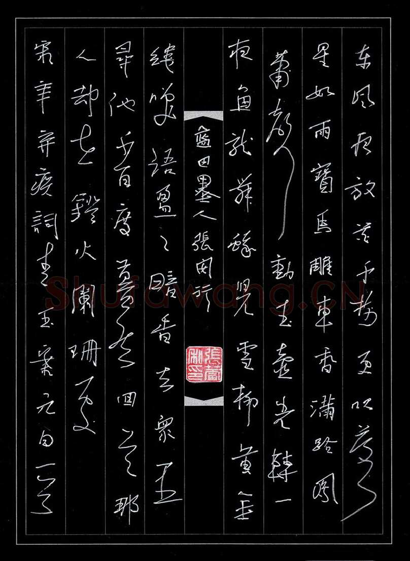 张蕾硬笔行书辛弃疾词青玉案元日一首,张蕾硬笔书法作品