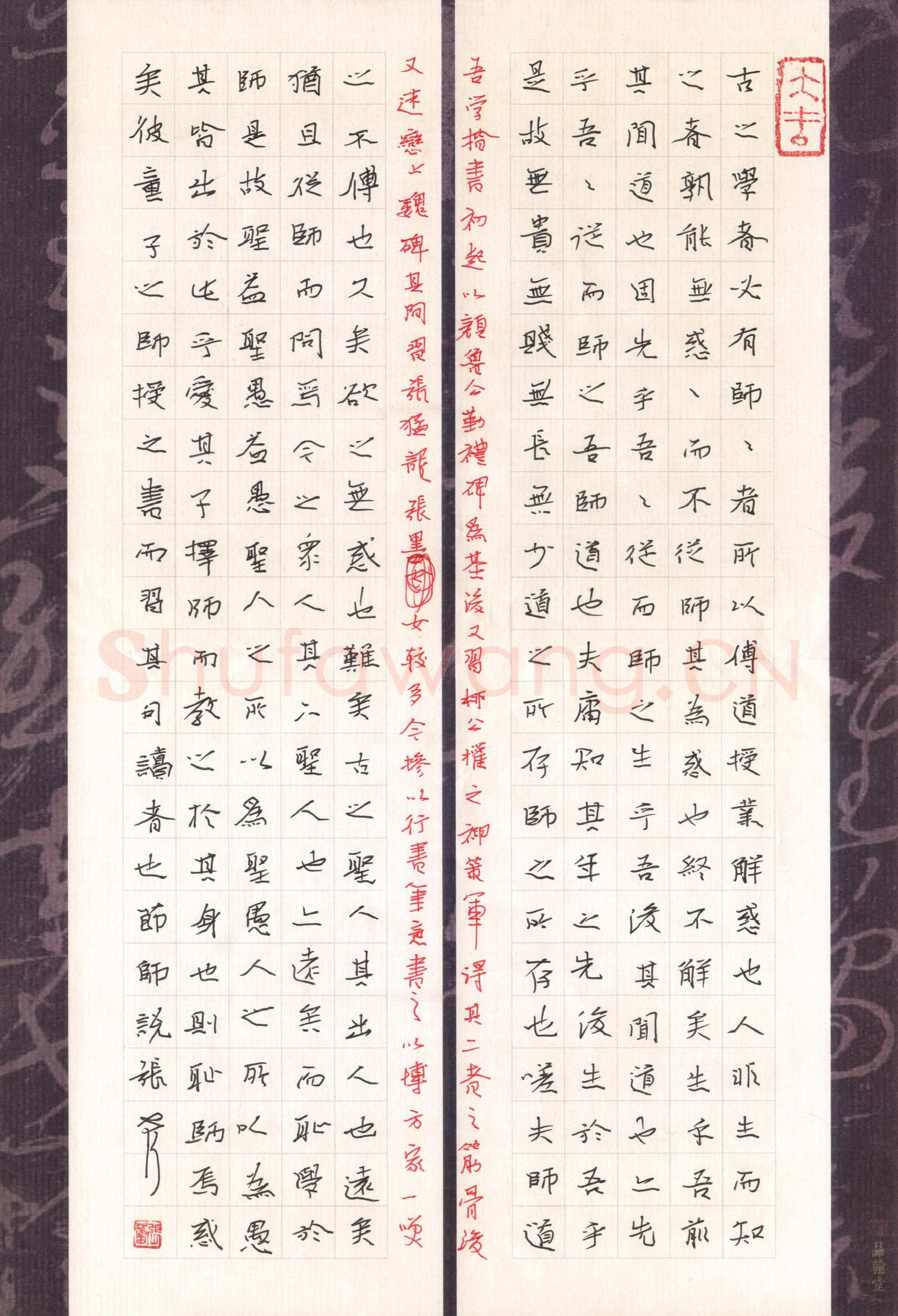 张蕾硬笔楷书韩愈师说,张蕾硬笔书法作品