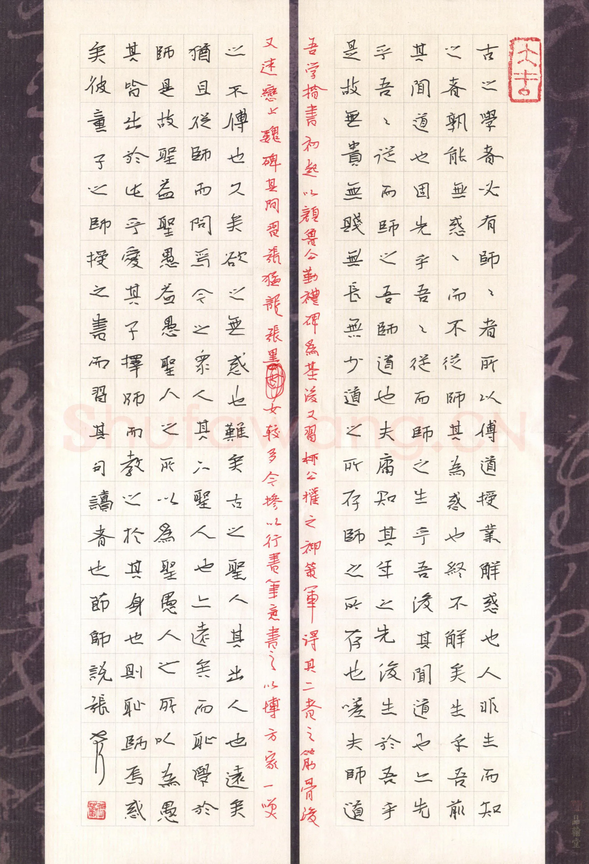 张蕾硬笔楷书韩愈师说,张蕾硬笔书法作品