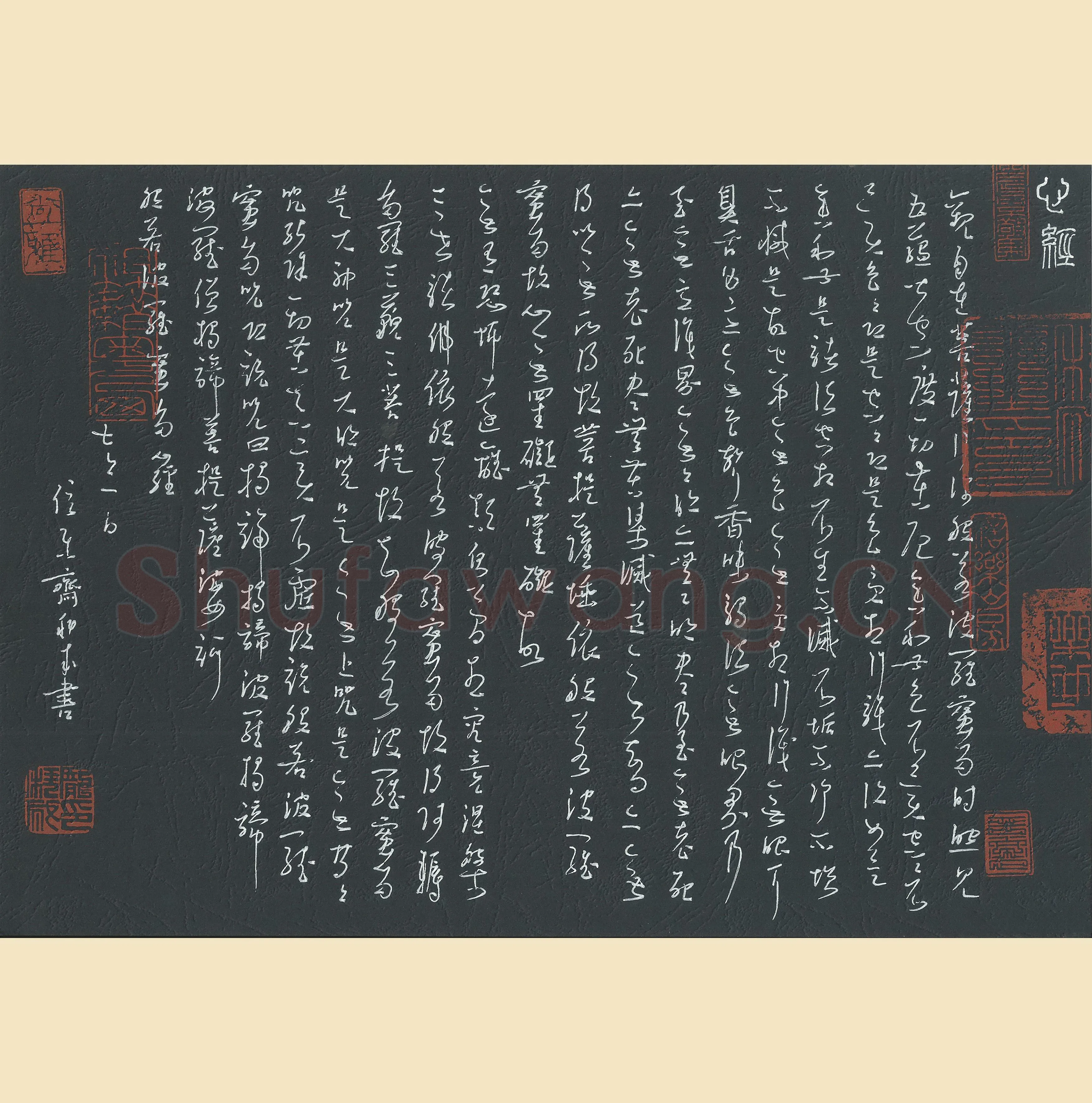 庞科成硬笔草书心经,庞科成硬笔书法作品