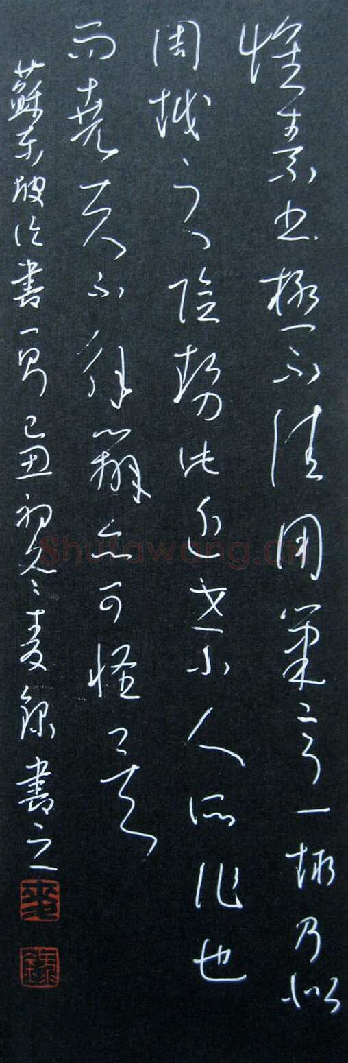 麦录硬笔草书苏东坡论书一则,麦录硬笔书法作品