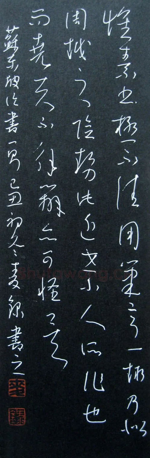 麦录硬笔草书苏东坡论书一则,麦录硬笔书法作品