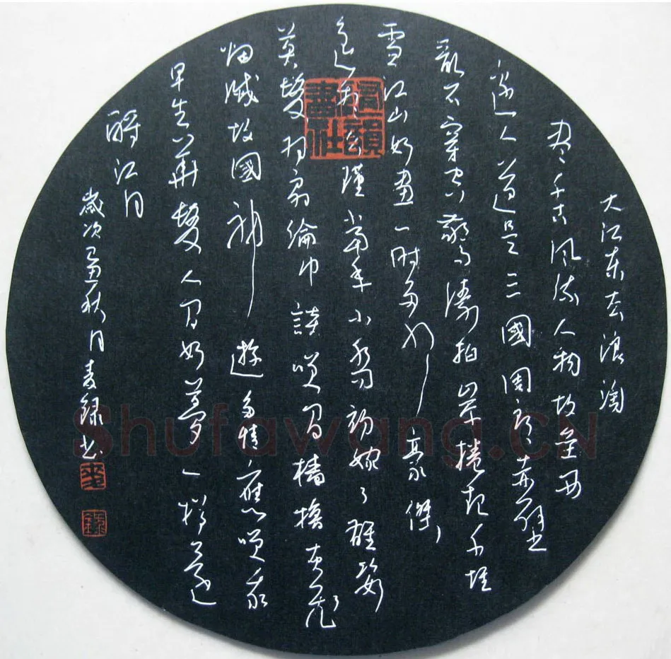 麦录硬笔草书苏轼词一首,麦录硬笔书法作品
