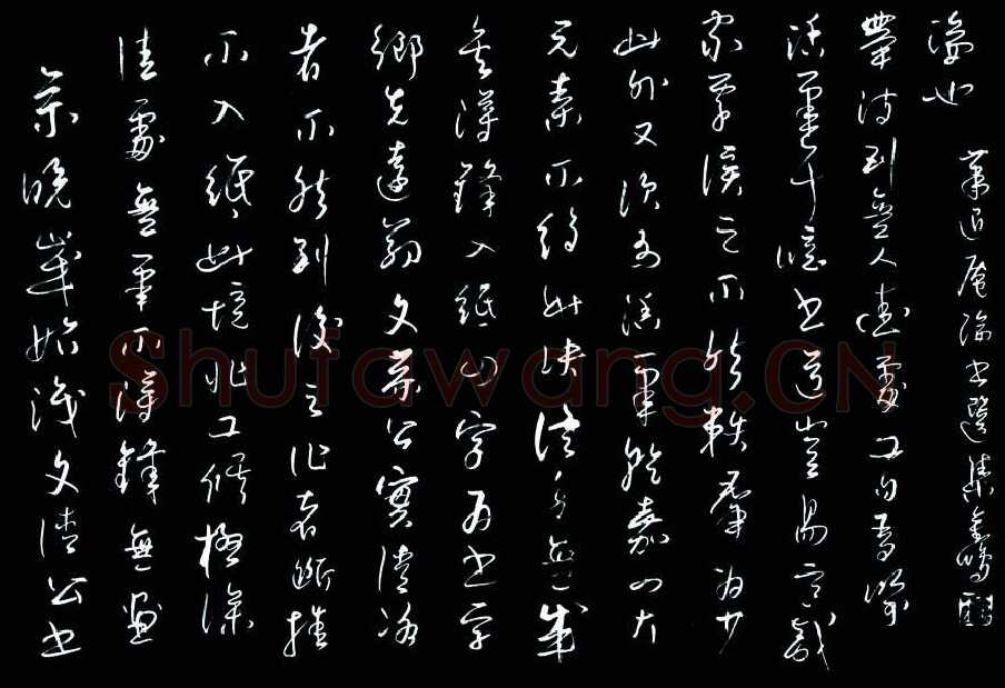 雷金鹏硬笔草书萧退庵论书选,硬笔书法作品