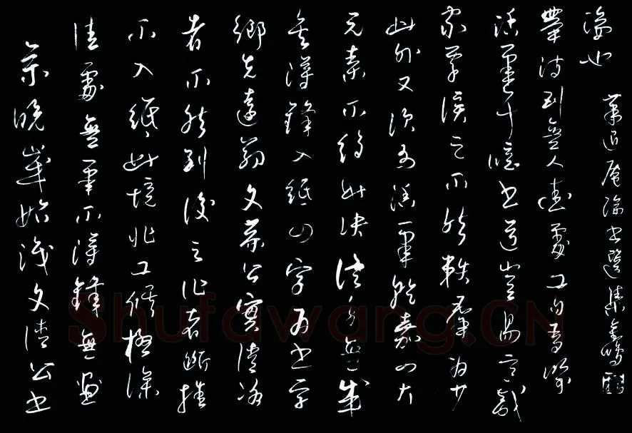 雷金鹏硬笔草书萧退庵论书选,硬笔书法作品