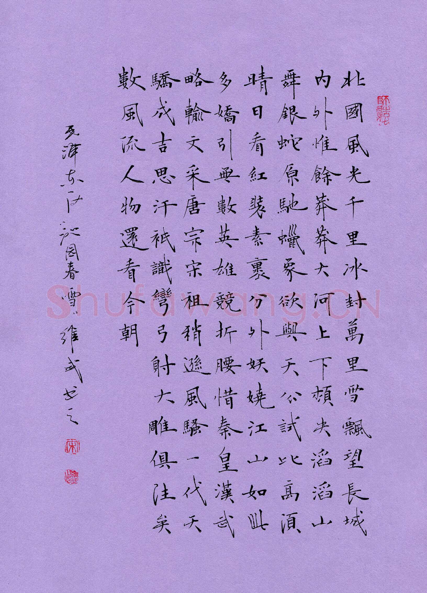 宋维武硬笔楷书毛泽东词沁园春雪一首,宋维武硬笔书法作品