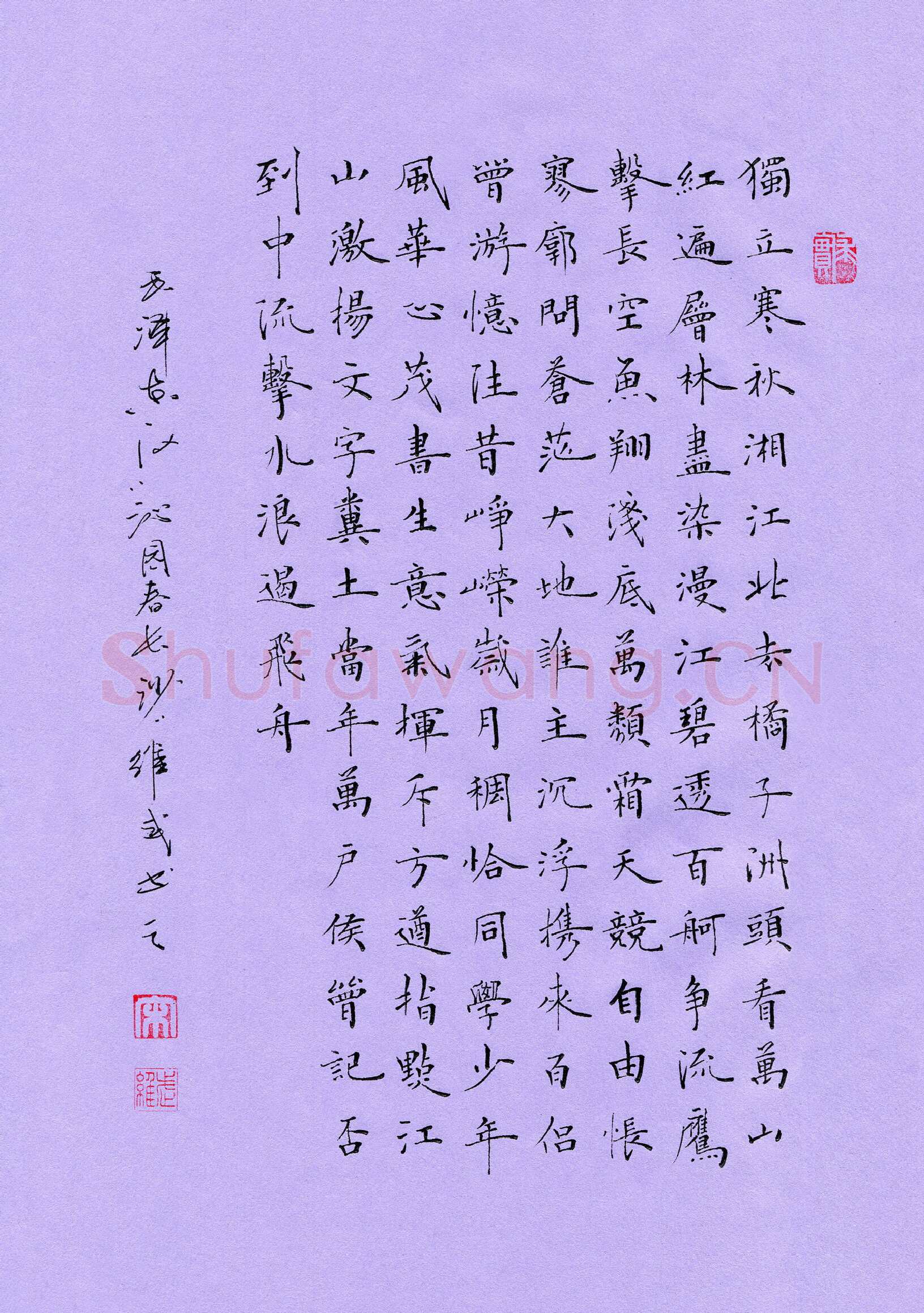 宋维武硬笔楷书毛泽东词沁园春长沙一首,宋维武硬笔书法作品