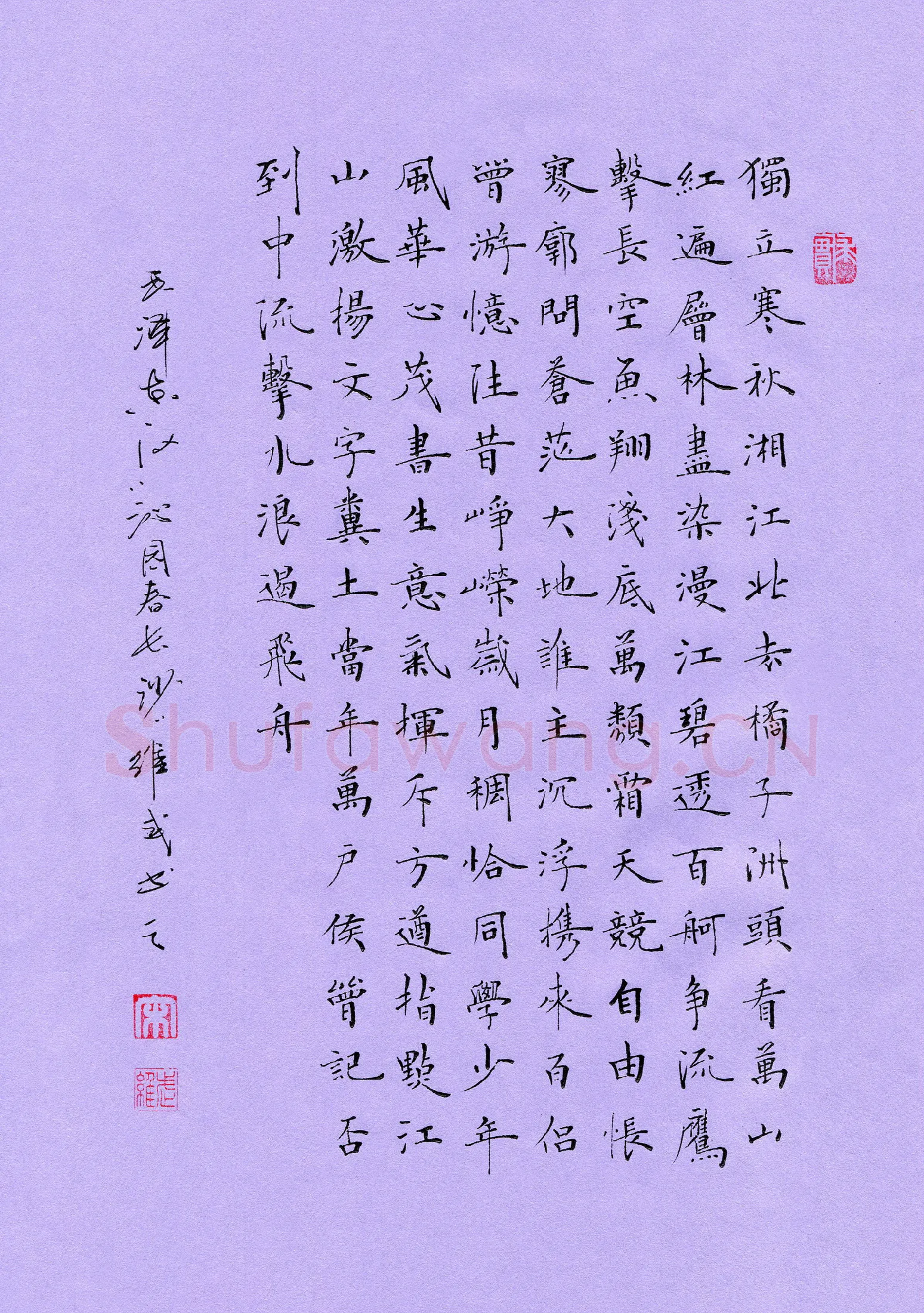 宋维武硬笔楷书毛泽东词沁园春长沙一首,宋维武硬笔书法作品
