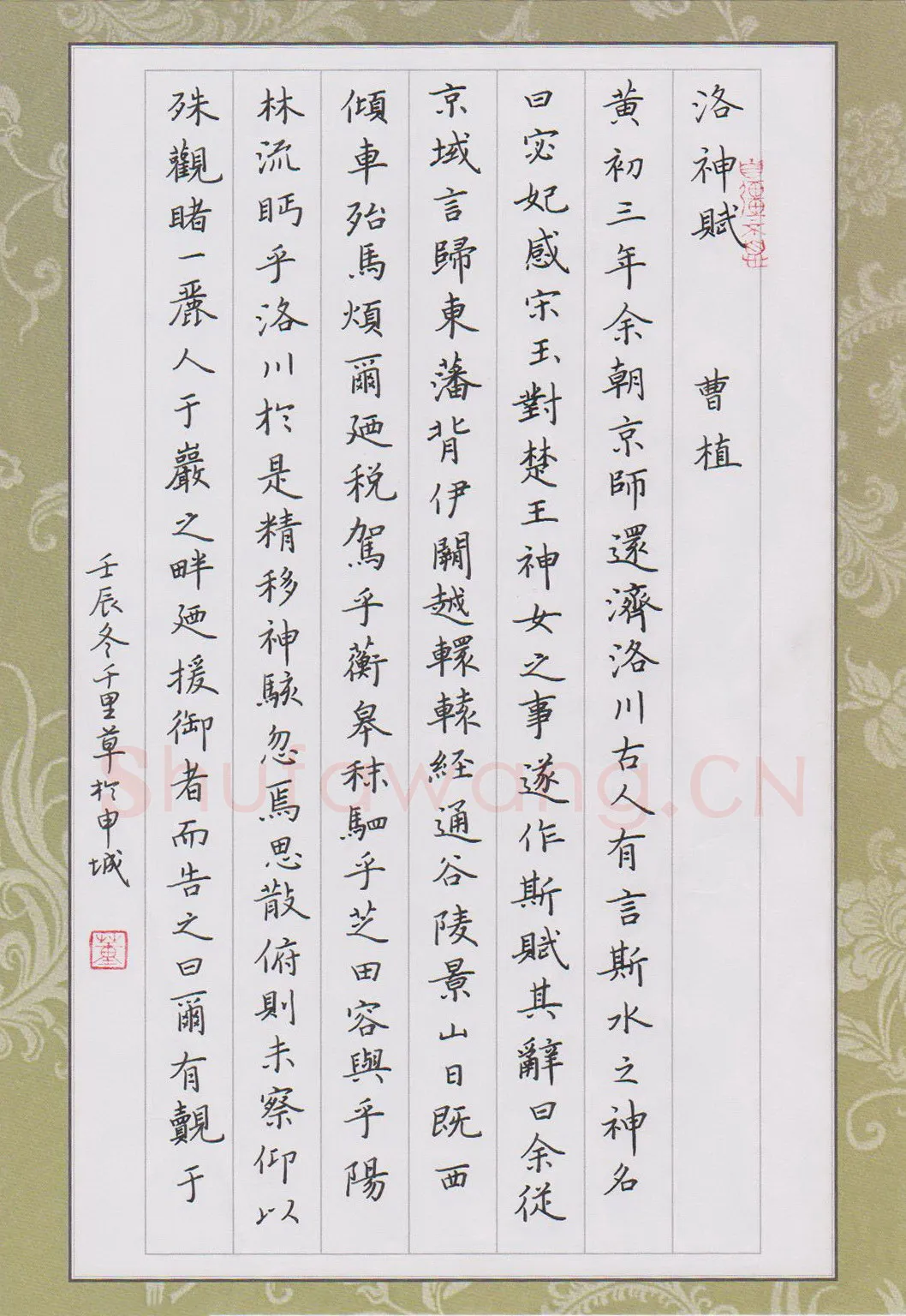 董川硬笔楷书洛神赋节选,董川硬笔书法作品
