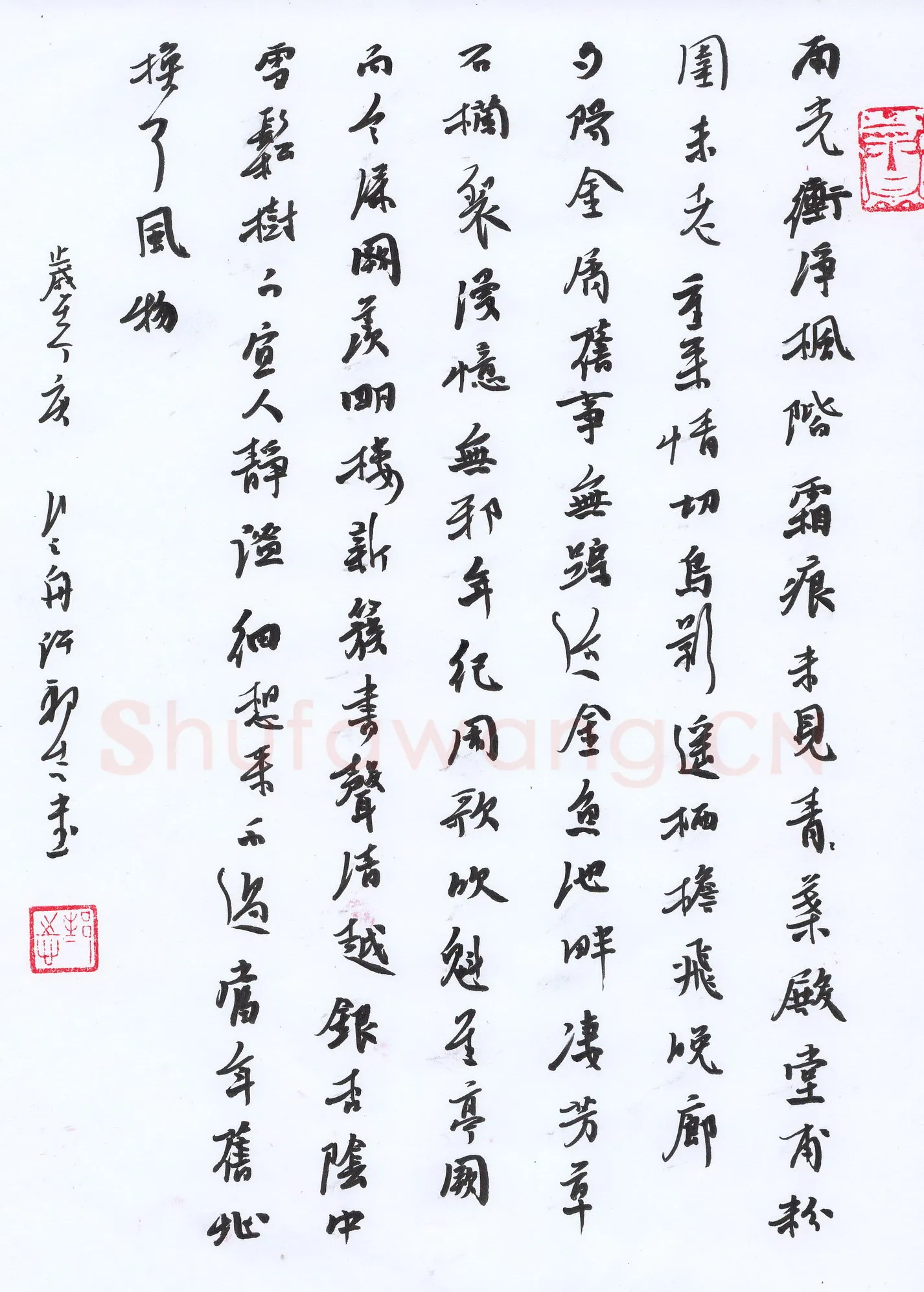 许邦志硬笔行书雨光,许邦志硬笔书法作品