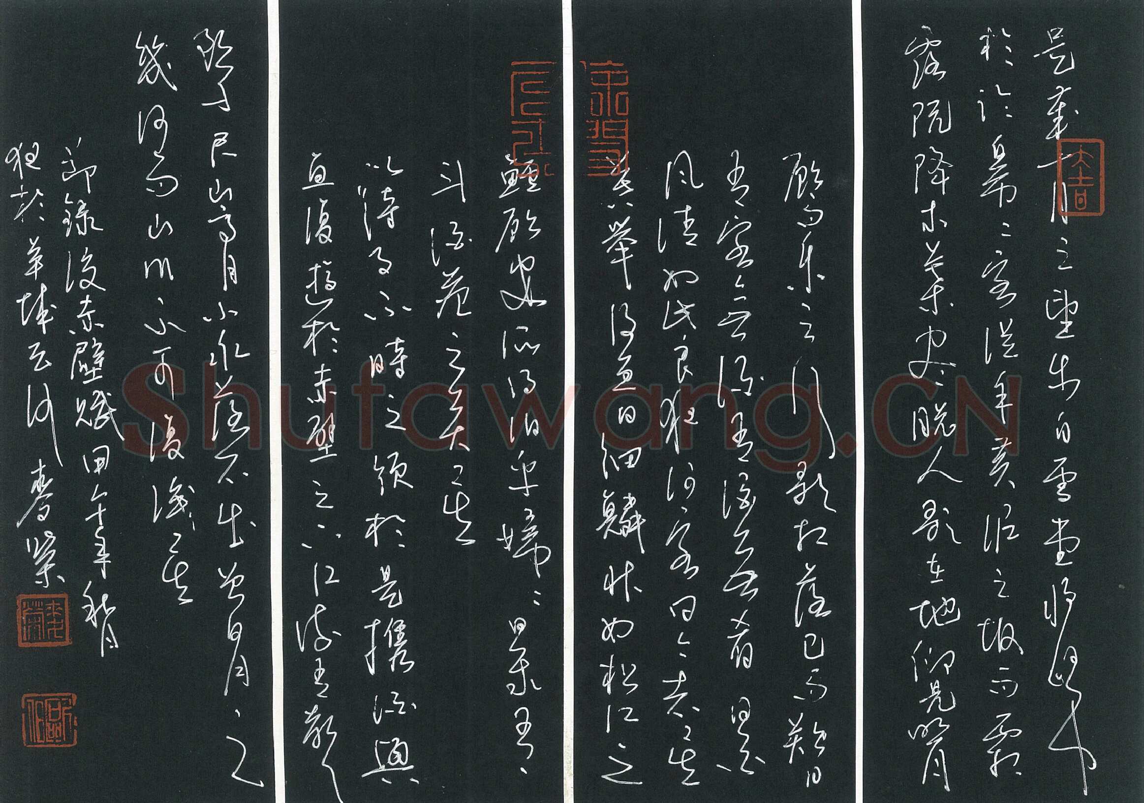 麦荣硬笔草书节录后赤壁赋,麦荣硬笔书法作品