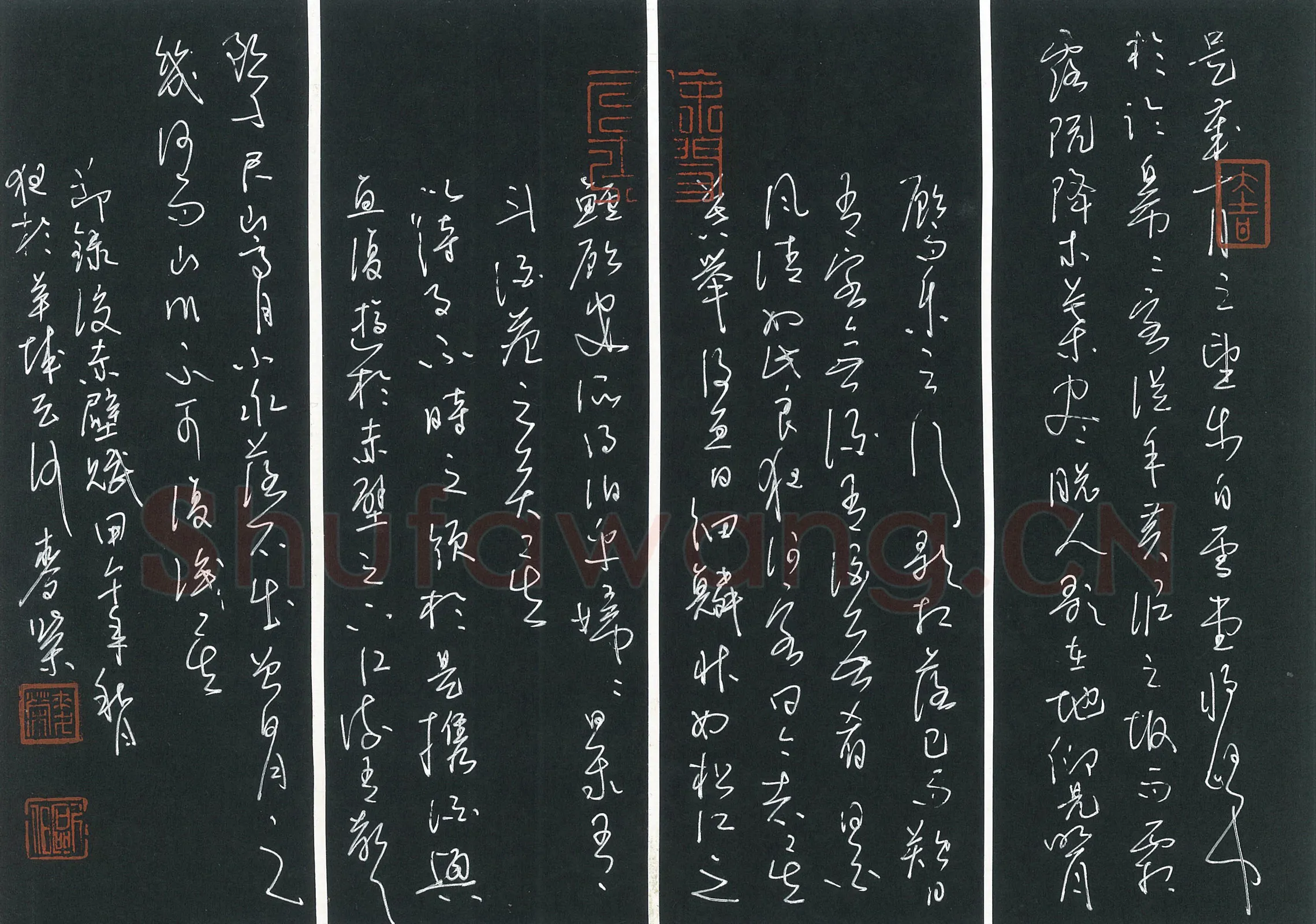 麦荣硬笔草书节录后赤壁赋,麦荣硬笔书法作品