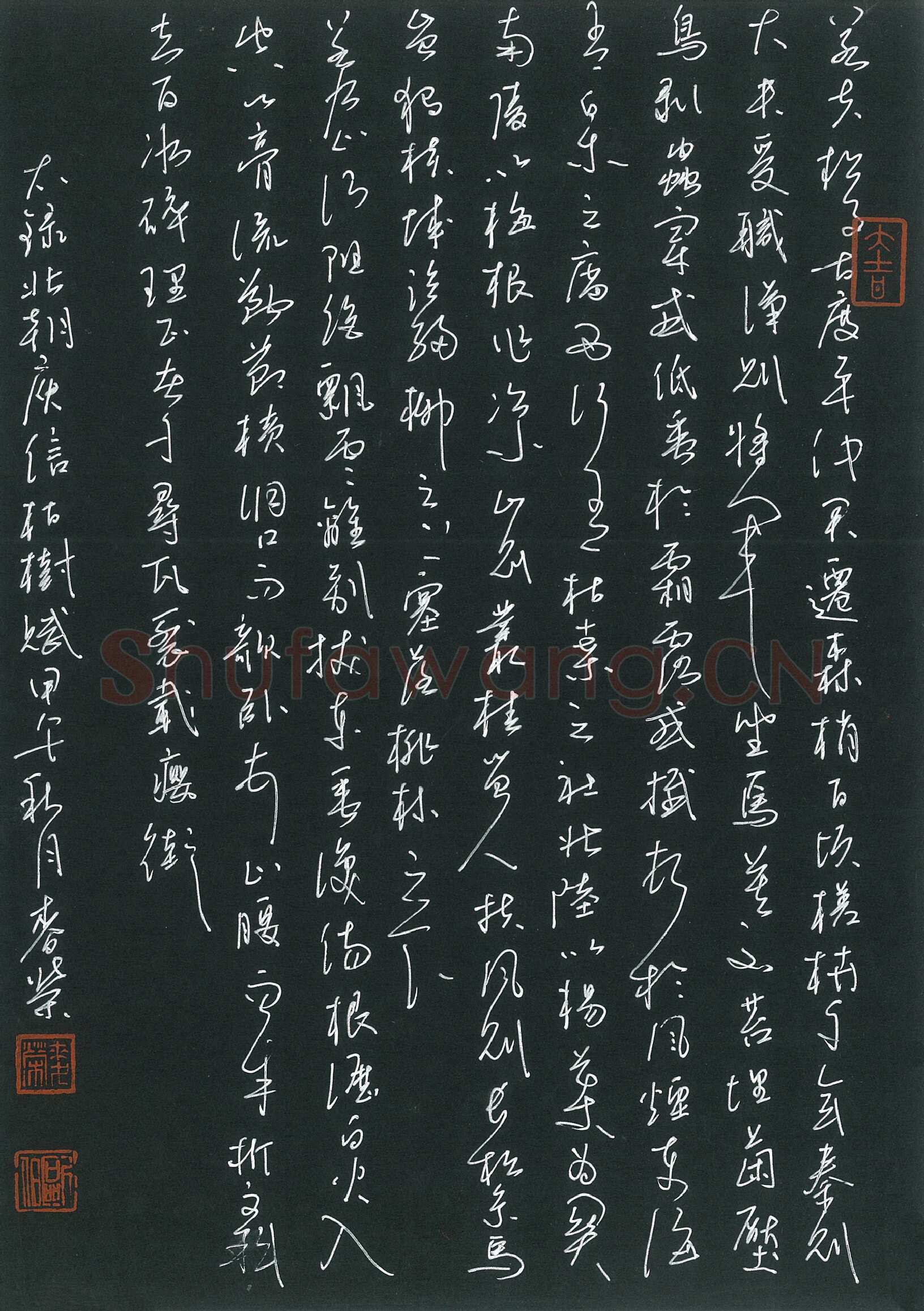 麦荣硬笔草书庾信枯树赋,麦荣硬笔书法作品