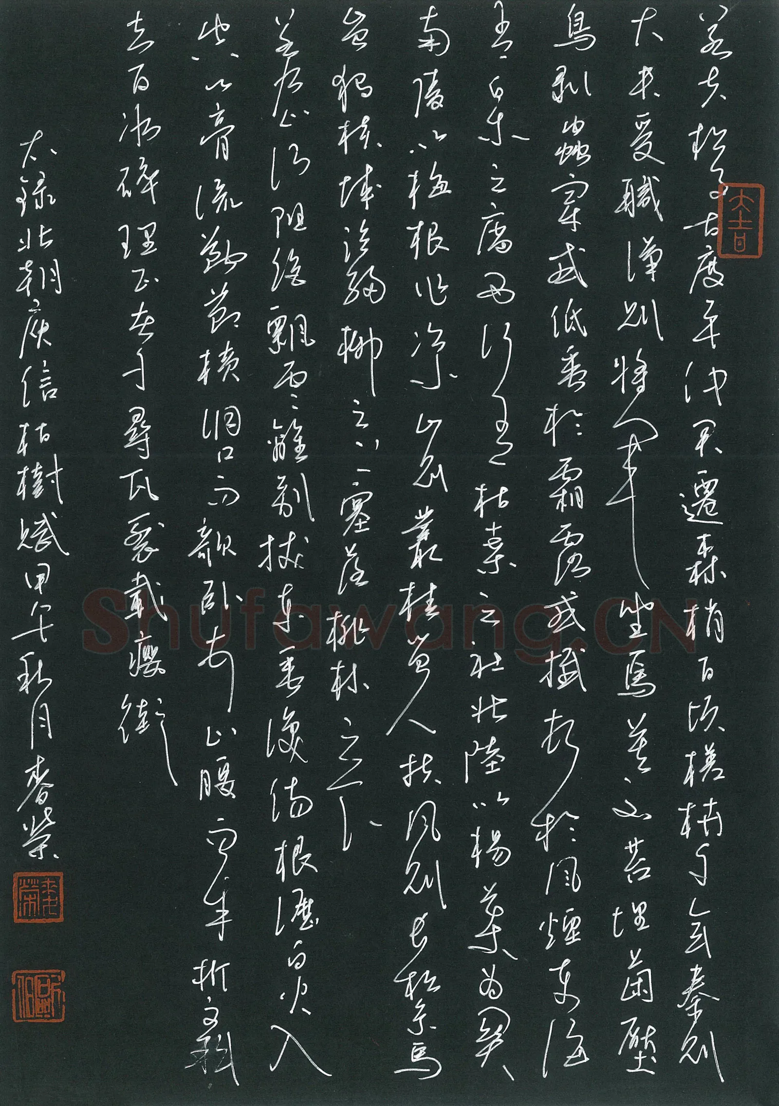 麦荣硬笔草书庾信枯树赋,麦荣硬笔书法作品