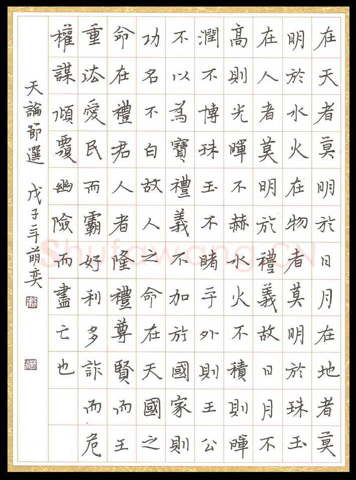徐萌奕硬笔楷书天论节选,徐萌奕硬笔书法作品