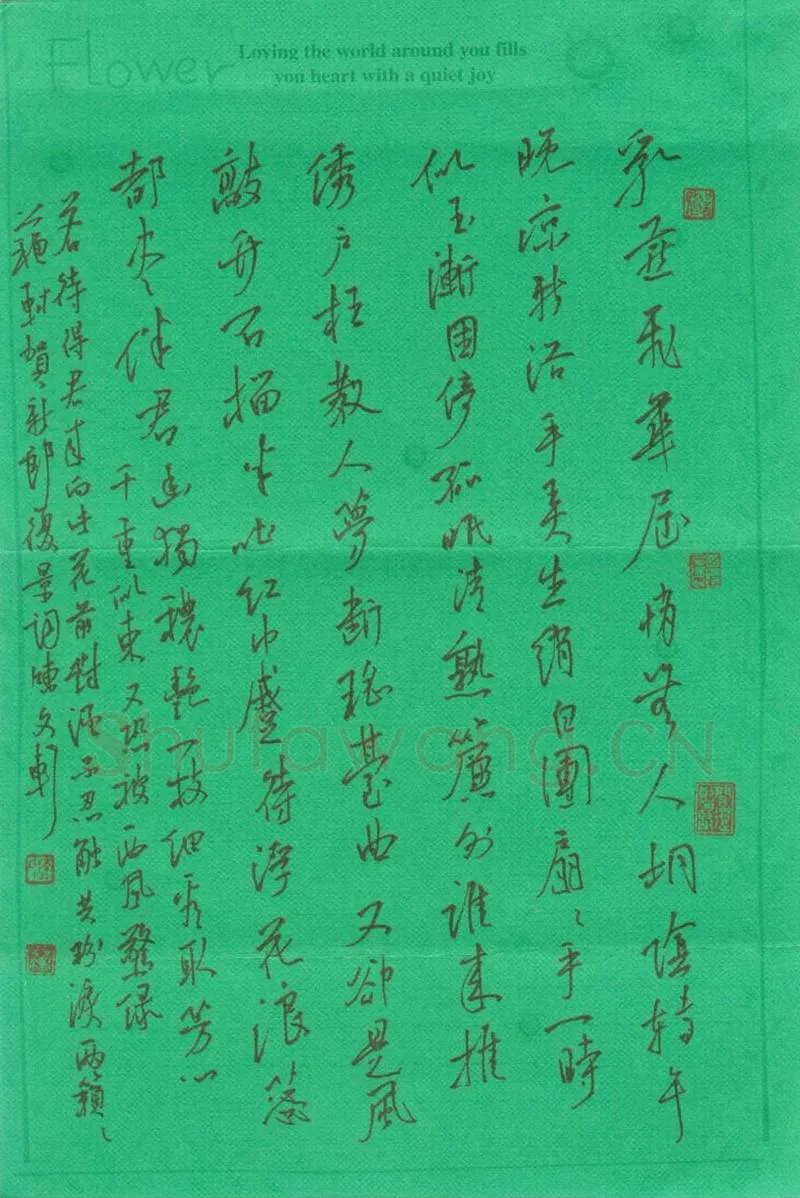 陈文轩硬笔行书苏轼词贺新郎,陈文轩硬笔书法作品
