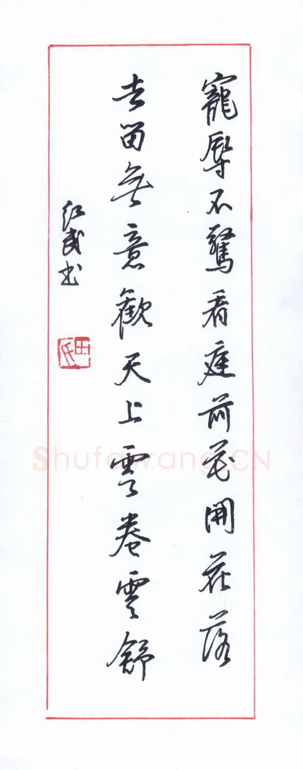 田红武硬笔行书宠辱不惊句,田红武硬笔书法作品
